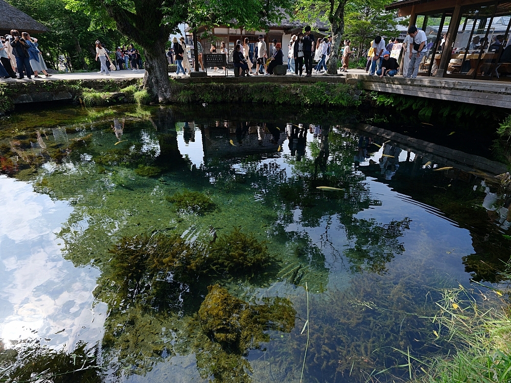 【忍野八海】富士五湖超高人氣的熱門景點，隨便拍都是風景畫～ @捲捲頭 ♡ 品味生活