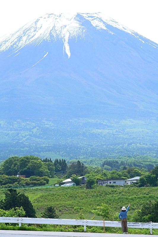 靜岡【馬飼野牧場】必拍富士山盪鞦韆，還有餵羊咩咩吃飼料，好吃鮮奶霜淇淋可麗餅來一組!!(門票資訊) @捲捲頭 ♡ 品味生活