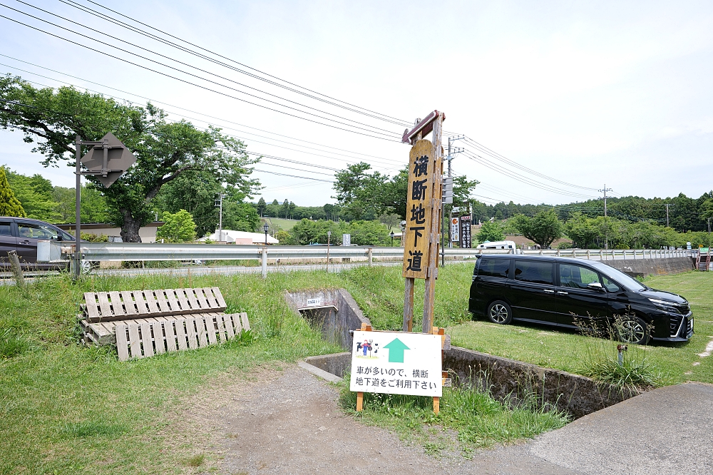 靜岡【馬飼野牧場】必拍富士山盪鞦韆，還有餵羊咩咩吃飼料，好吃鮮奶霜淇淋可麗餅來一組!!(門票資訊) @捲捲頭 ♡ 品味生活