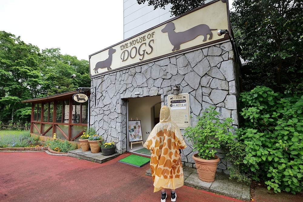 靜岡【富士野生動物園】搭叢林巴士，親手餵食獅子長頸鹿～ @捲捲頭 ♡ 品味生活