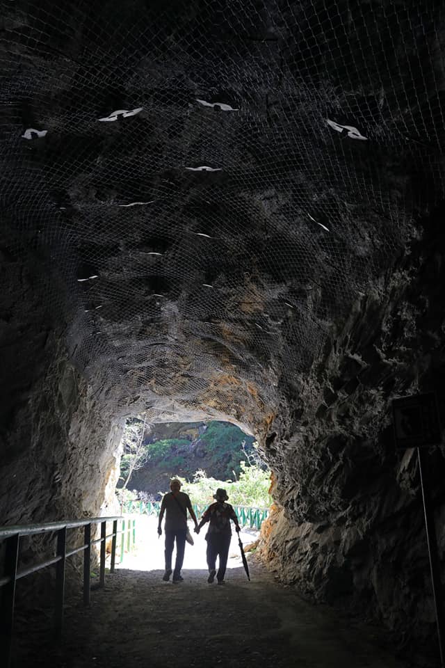 【太魯閣景點】白楊步道，寶石藍溪水作陪，巨型天然蓮蓬頭做水療SPA @捲捲頭 ♡ 品味生活