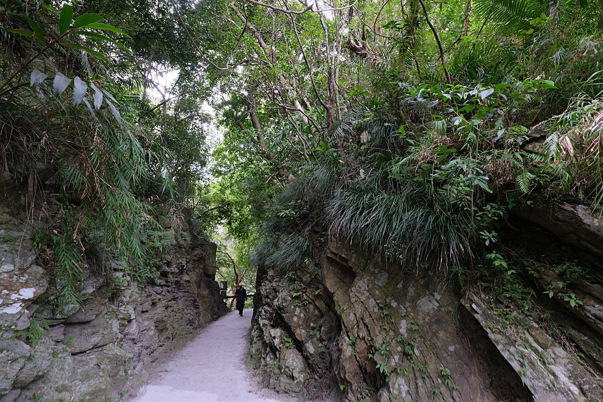 【砂卡礑步道】走進夢幻神秘谷, 挑戰太魯閣入門級小徑！ @捲捲頭 ♡ 品味生活