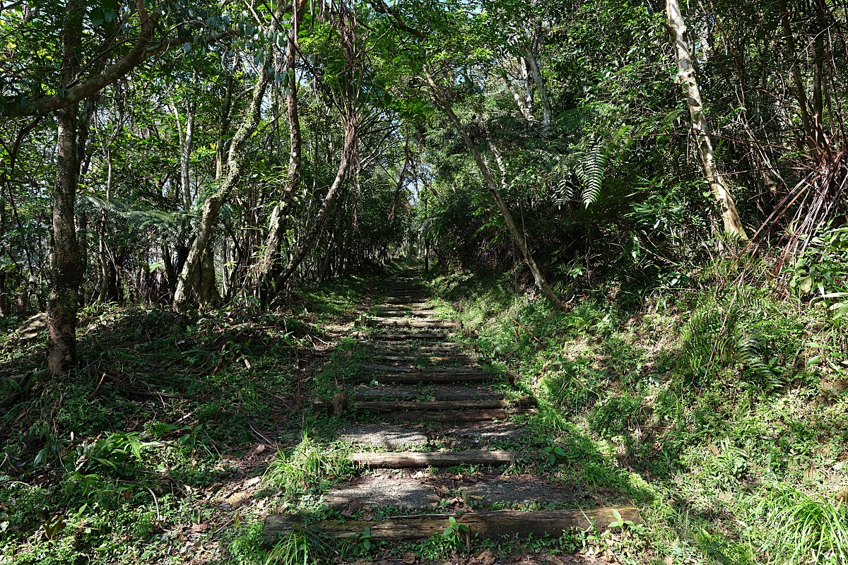 【跑馬古道】親子皆宜的好走步道推薦（交通路線） @捲捲頭 ♡ 品味生活