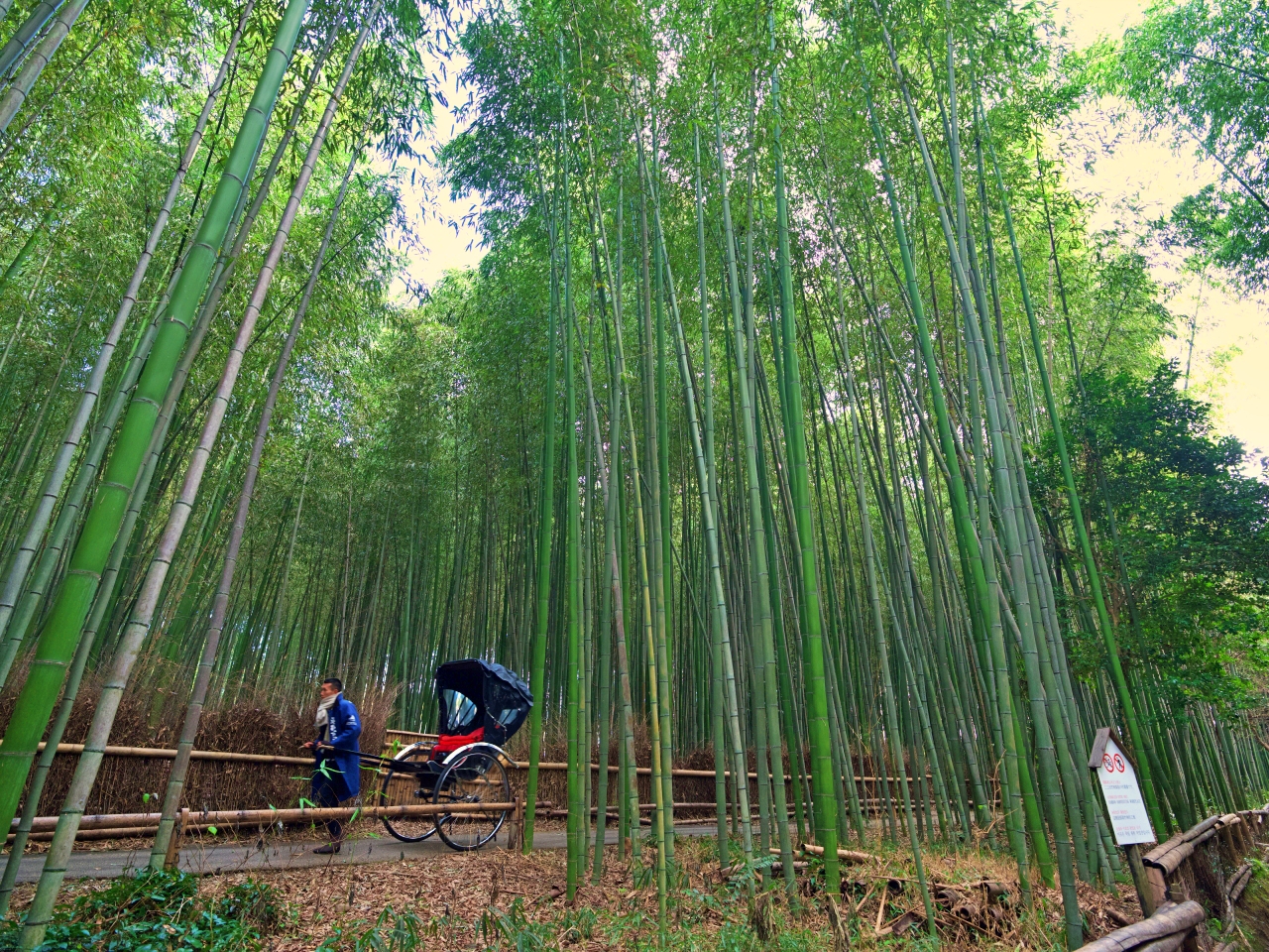 京都嵐山一日遊 | 竹林小徑、渡月橋，清涼寺半日遊，景點、交通、美食全攻略 @捲捲頭 ♡ 品味生活