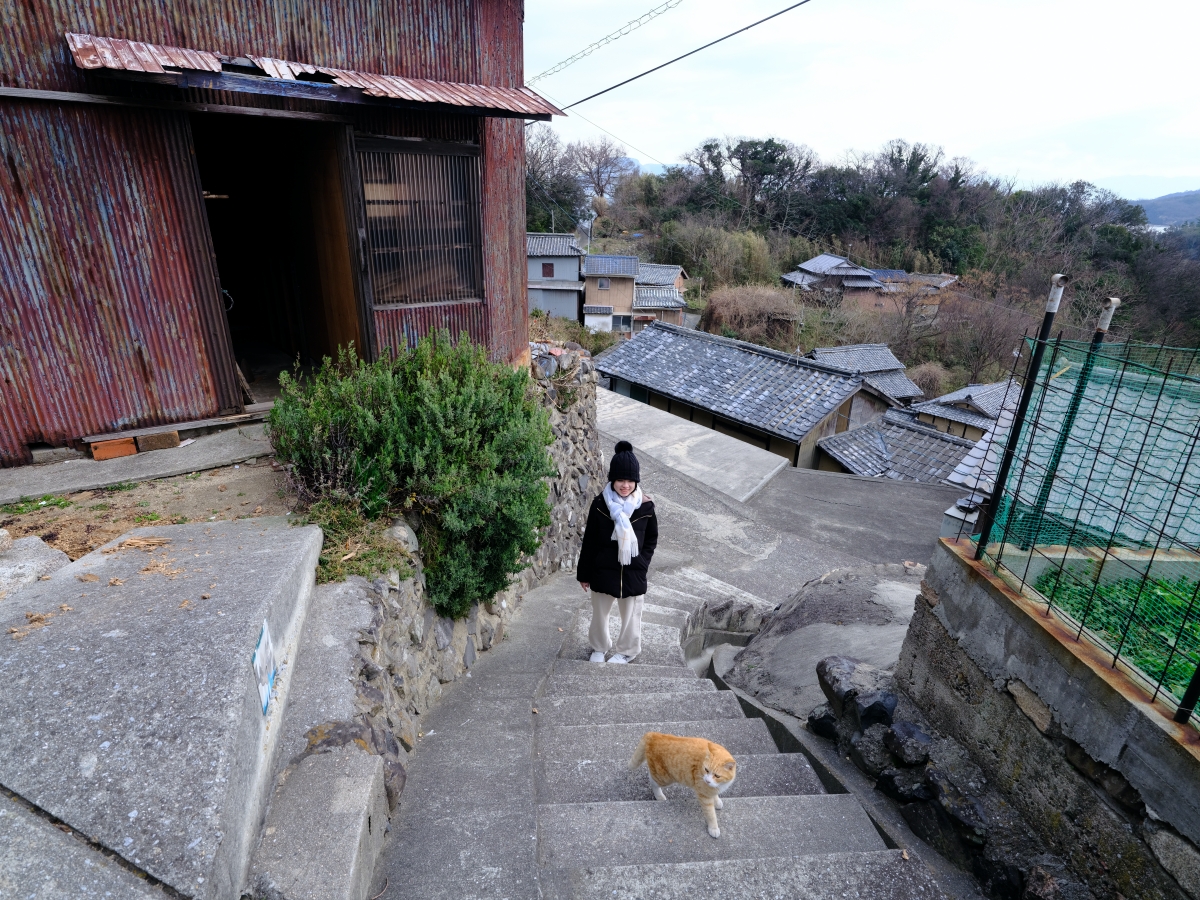 高松【男木島】到瀨戶內海擼貓，景點指南&#038; 交通資訊 @捲捲頭 ♡ 品味生活