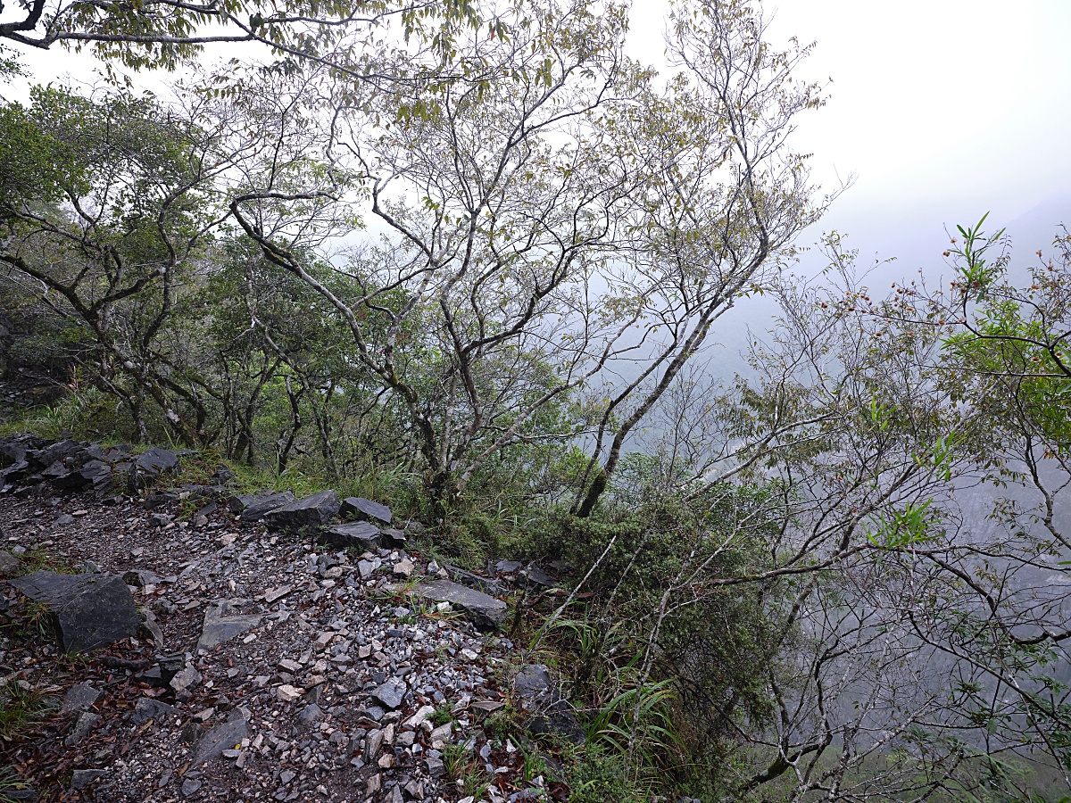 【錐麓古道】太魯閣最美風景，不知是否有緣再見，觀景斷崖.吊橋步行路線體驗～ @捲捲頭 ♡ 品味生活