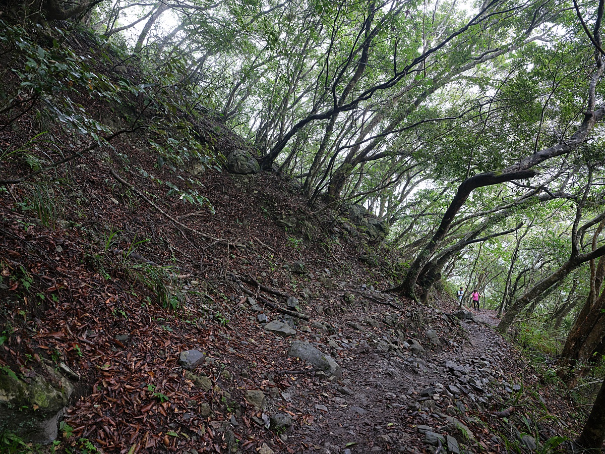 【錐麓古道】太魯閣最美風景，不知是否有緣再見，觀景斷崖.吊橋步行路線體驗～ @捲捲頭 ♡ 品味生活