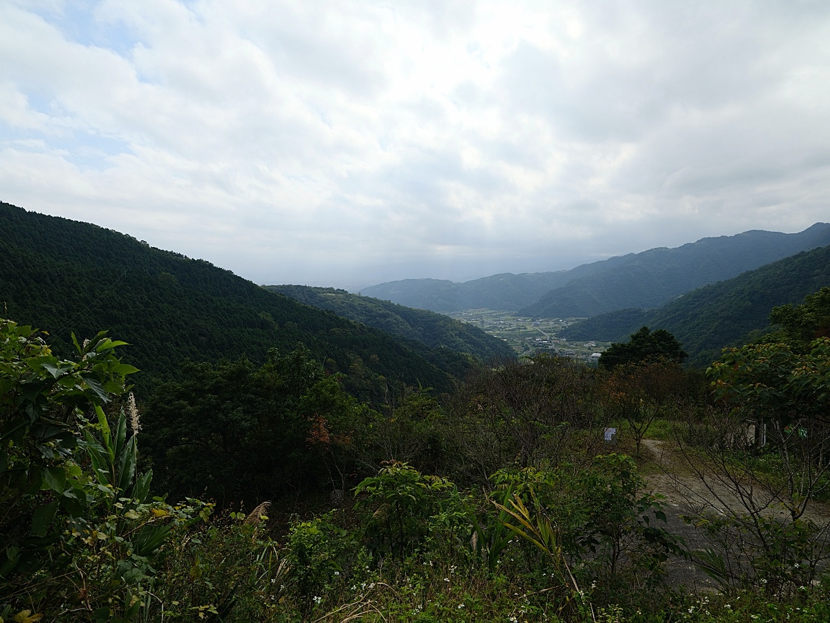 燈嵩林道|五星級健行步道，林蔭環繞生態豐富，還有乾淨洗手間 @捲捲頭 ♡ 品味生活