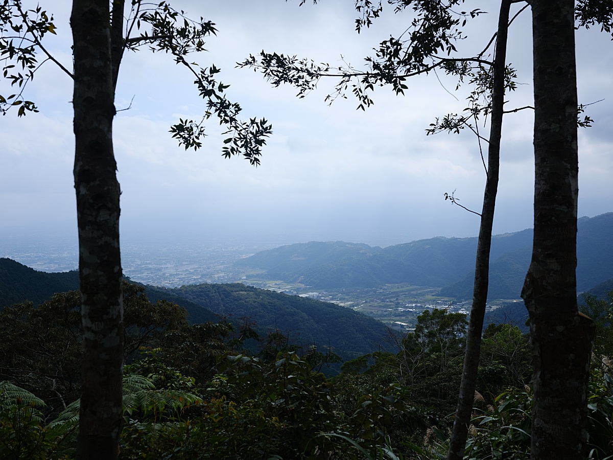 燈嵩林道|五星級健行步道，林蔭環繞生態豐富，還有乾淨洗手間 @捲捲頭 ♡ 品味生活