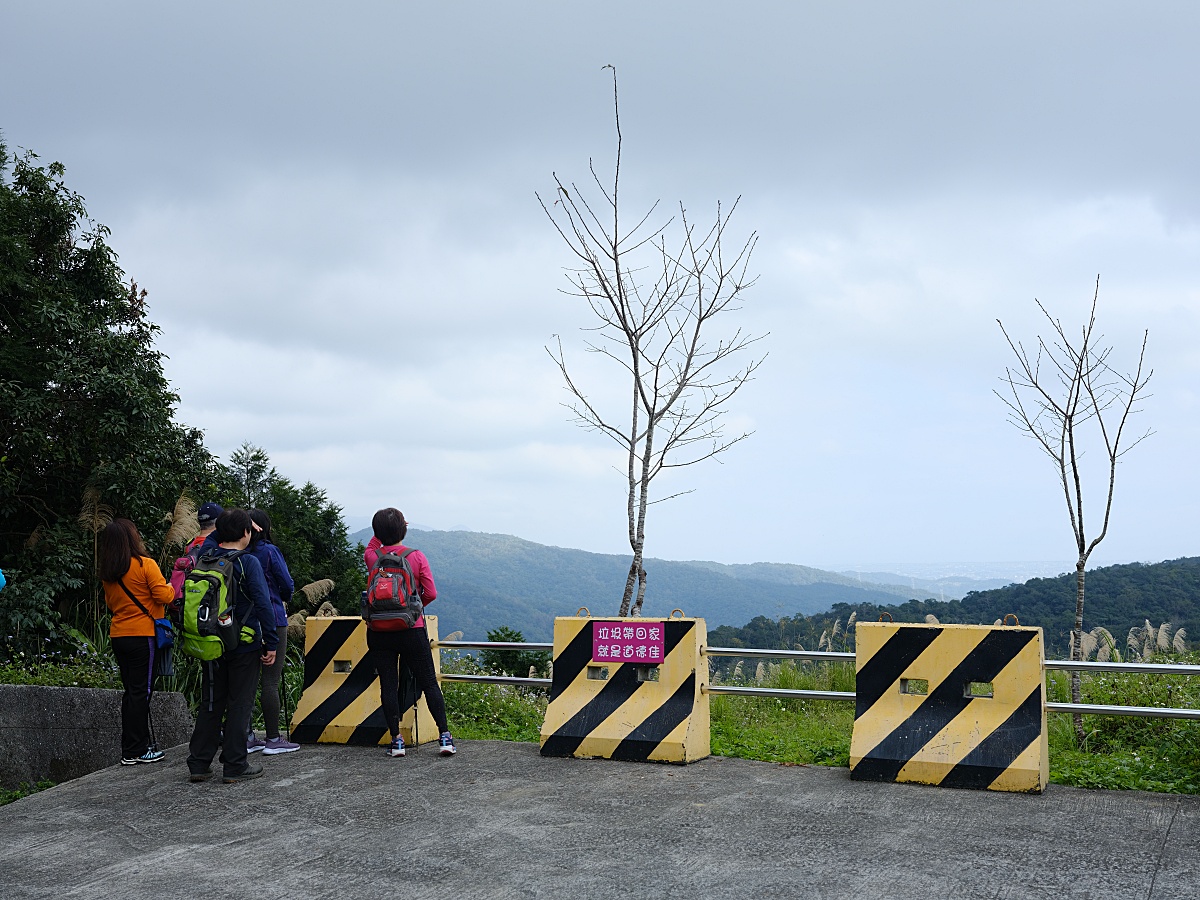 燈嵩林道|五星級健行步道，林蔭環繞生態豐富，還有乾淨洗手間 @捲捲頭 ♡ 品味生活