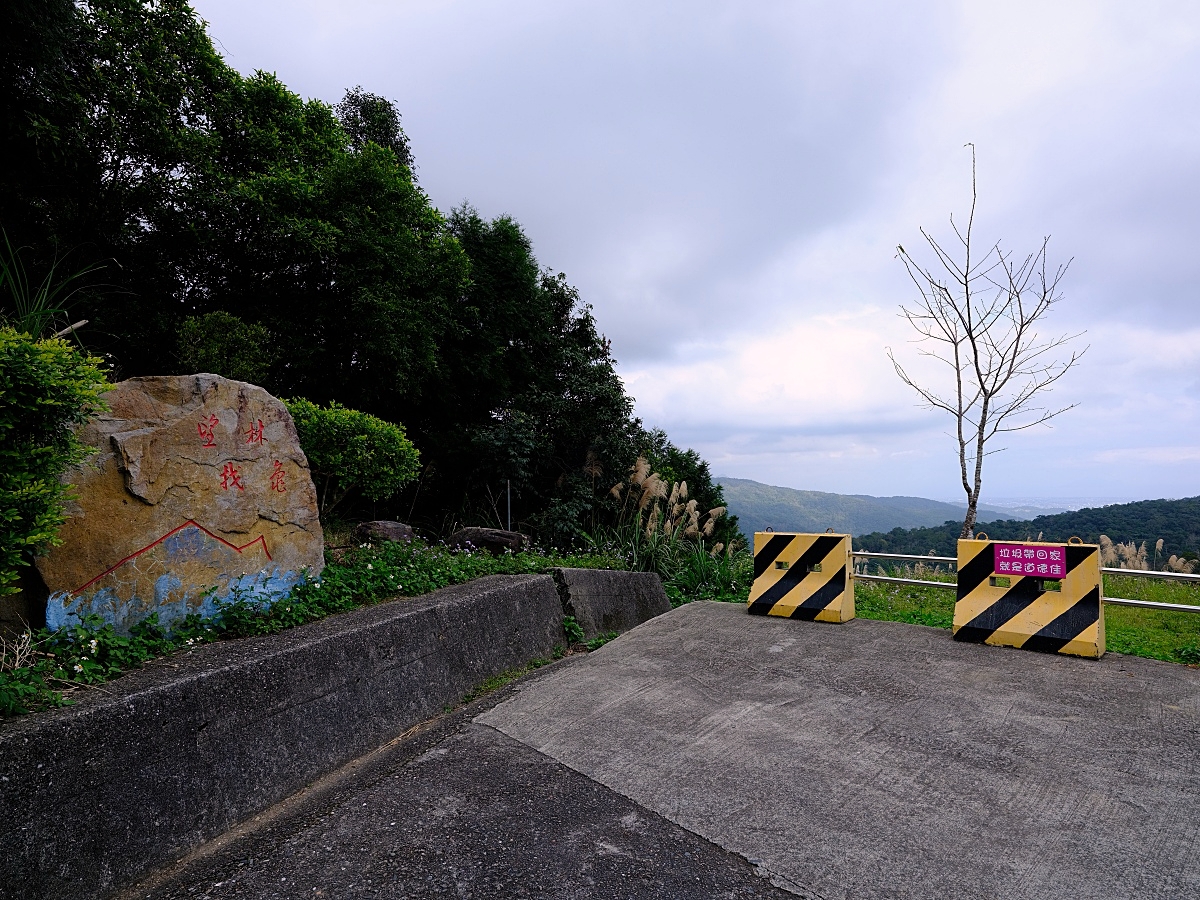 燈嵩林道|五星級健行步道，林蔭環繞生態豐富，還有乾淨洗手間 @捲捲頭 ♡ 品味生活