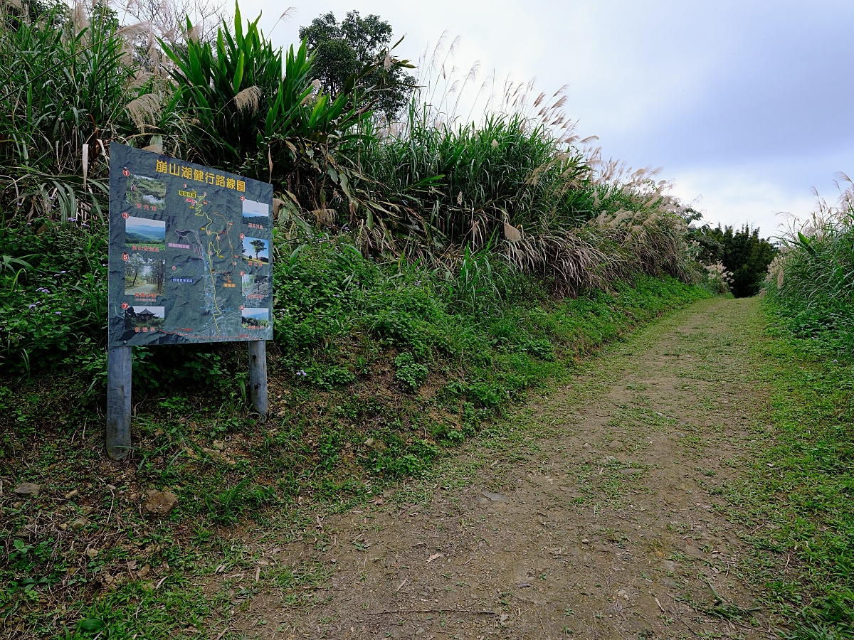 燈嵩林道|五星級健行步道，林蔭環繞生態豐富，還有乾淨洗手間 @捲捲頭 ♡ 品味生活