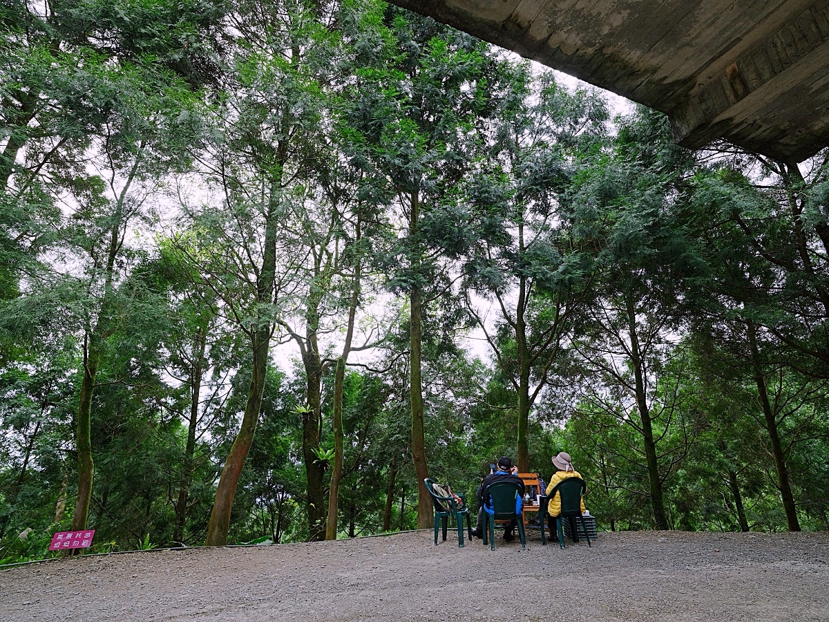 燈嵩林道|五星級健行步道，林蔭環繞生態豐富，還有乾淨洗手間 @捲捲頭 ♡ 品味生活