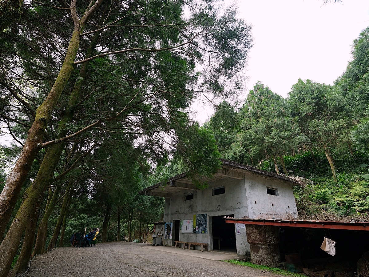 燈嵩林道|五星級健行步道，林蔭環繞生態豐富，還有乾淨洗手間 @捲捲頭 ♡ 品味生活