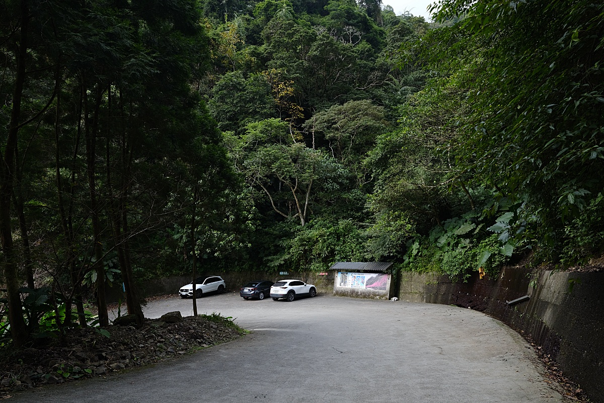 燈嵩林道|五星級健行步道，林蔭環繞生態豐富，還有乾淨洗手間 @捲捲頭 ♡ 品味生活