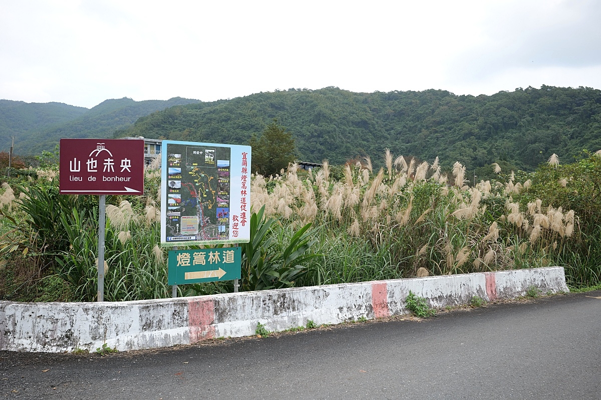 燈嵩林道.肖楠步道|低難度療癒山林步道，輕裝即可前往 @捲捲頭 ♡ 品味生活