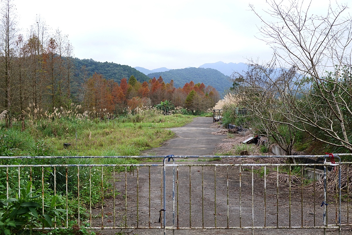 雙連埤環湖步道|環湖步道一圈一小時輕鬆走觀光指南 @捲捲頭 ♡ 品味生活