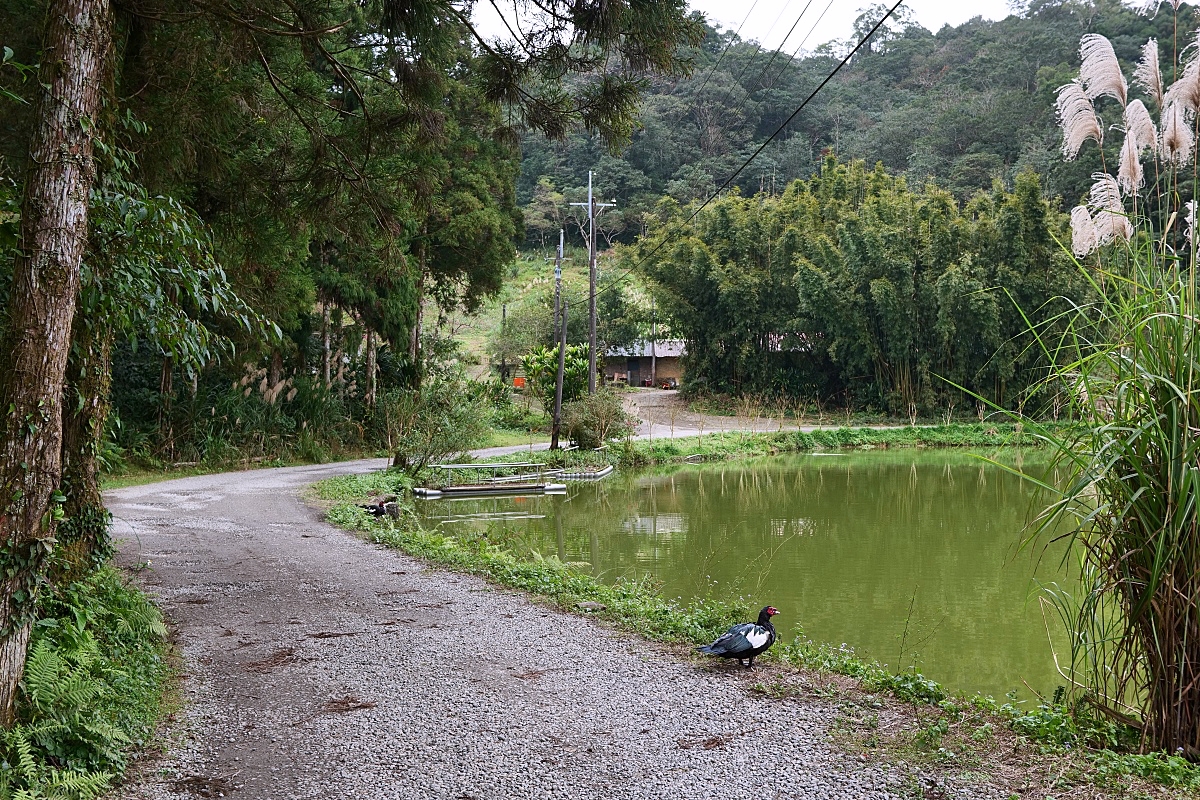 雙連埤環湖步道|環湖步道一圈一小時輕鬆走觀光指南 @捲捲頭 ♡ 品味生活