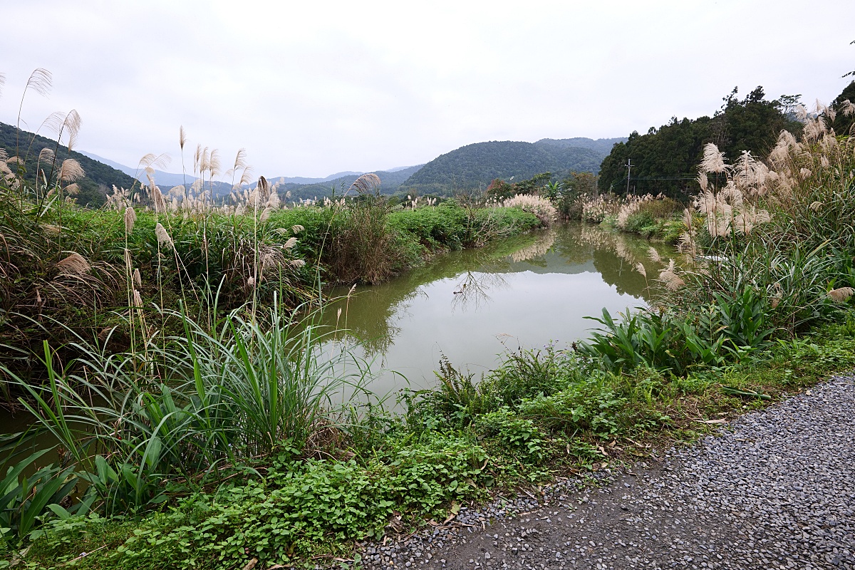 雙連埤環湖步道|環湖步道一圈一小時輕鬆走觀光指南 @捲捲頭 ♡ 品味生活