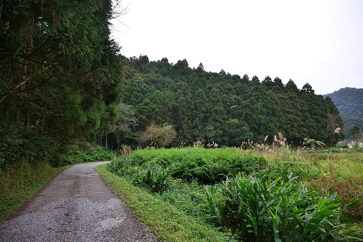 雙連埤環湖步道|環湖步道一圈一小時輕鬆走觀光指南 @捲捲頭 ♡ 品味生活