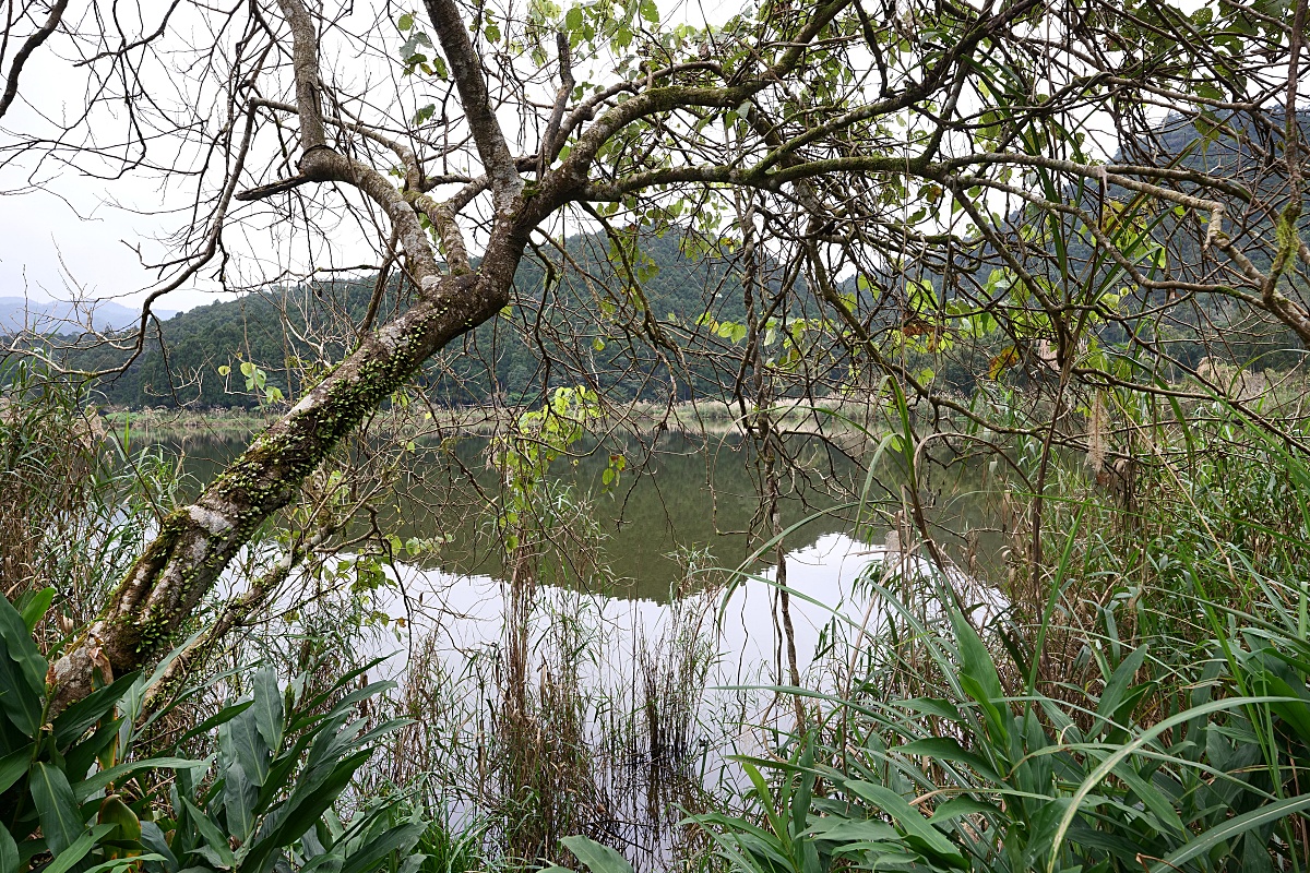 雙連埤環湖步道|環湖步道一圈一小時輕鬆走觀光指南 @捲捲頭 ♡ 品味生活