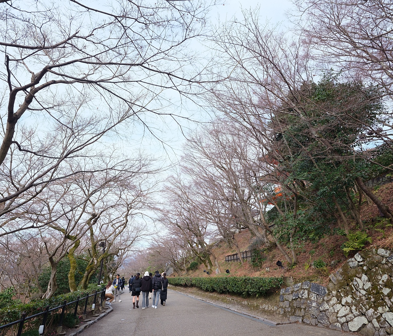 京都【清水寺】穿梭世界遺產時光隧道，門票、交通、美食景點體驗全攻略 @捲捲頭 ♡ 品味生活