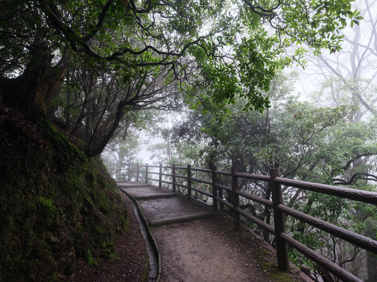 奈良景點【若草山】最平易近人的登山步道，零距離餵食野生小鹿～ @捲捲頭 ♡ 品味生活