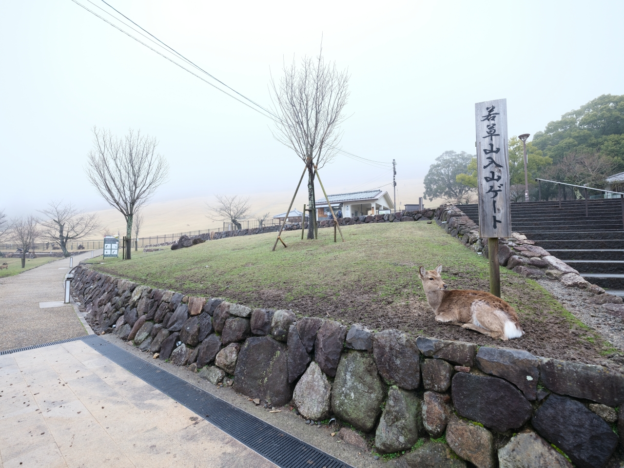 奈良景點【若草山】最平易近人的登山步道，零距離餵食野生小鹿～ @捲捲頭 ♡ 品味生活