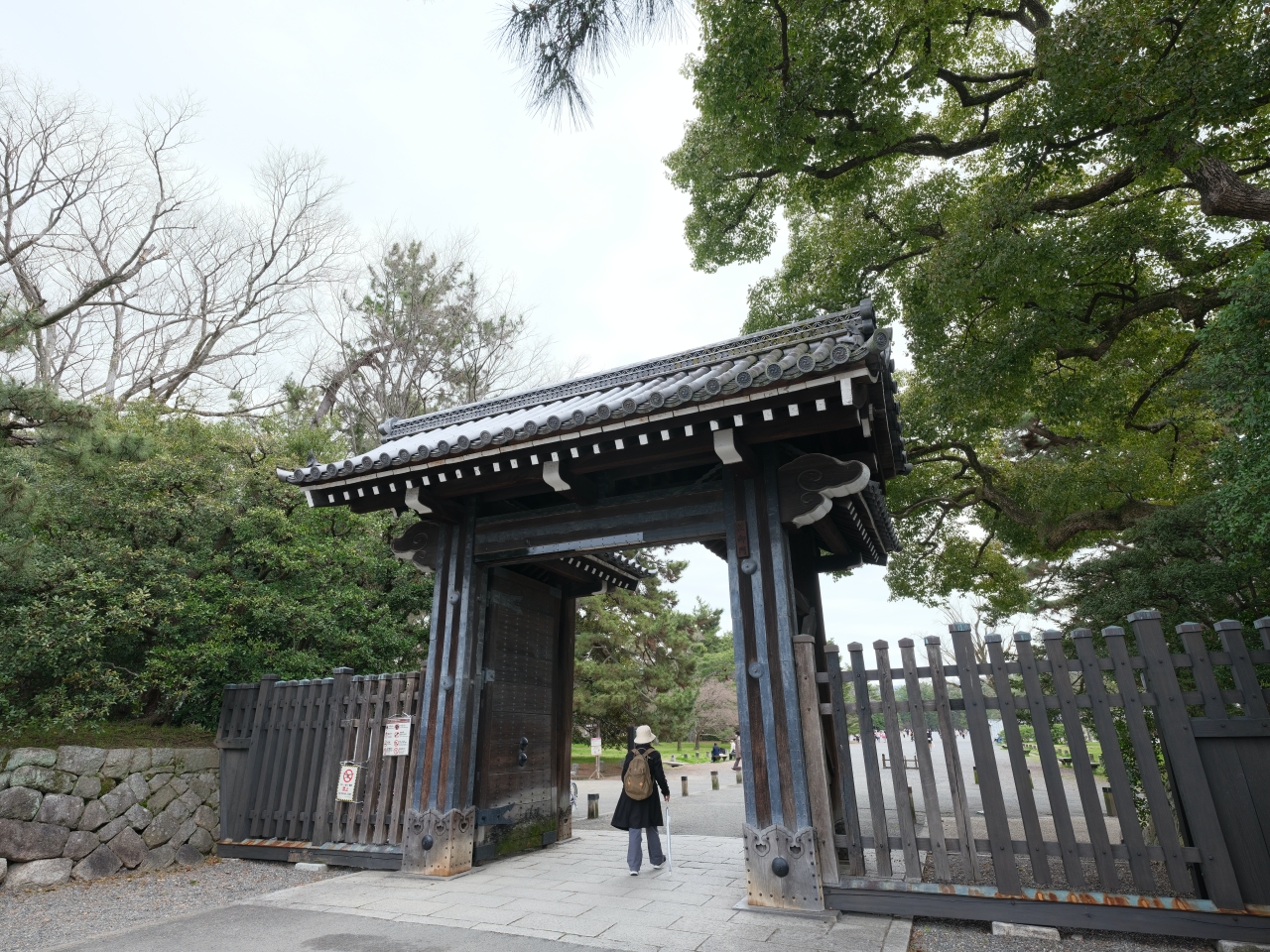 京都賞櫻【京都御苑】參觀資訊、交通、必訪櫻花景點全攻略 @捲捲頭 ♡ 品味生活