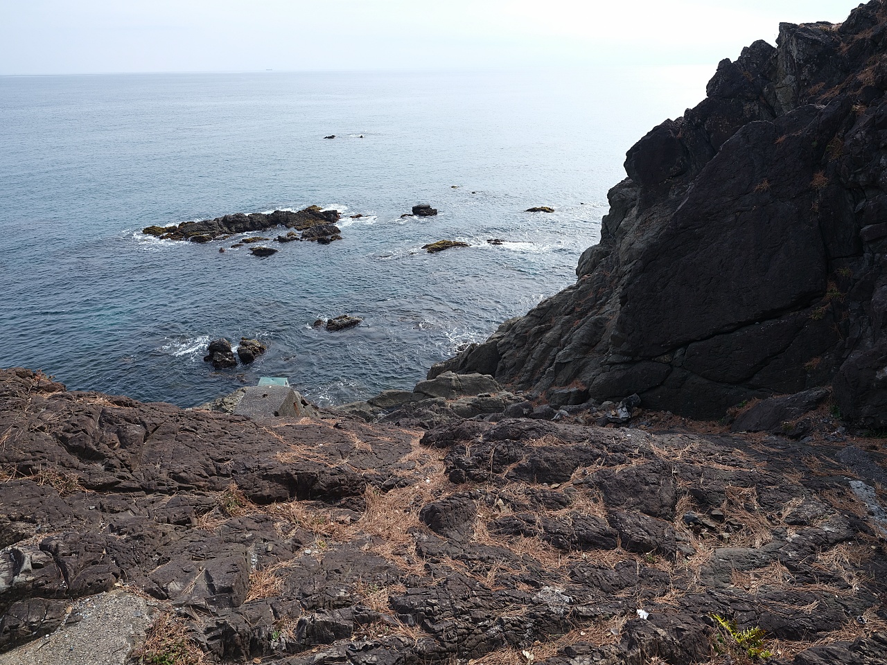 【高知桂浜公園】日本海濱百選、秘境龍王岬,景點指南&#038; 交通資訊 @捲捲頭 ♡ 品味生活