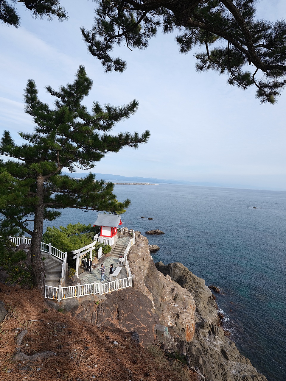 【高知桂浜公園】日本海濱百選、秘境龍王岬,景點指南&#038; 交通資訊 @捲捲頭 ♡ 品味生活