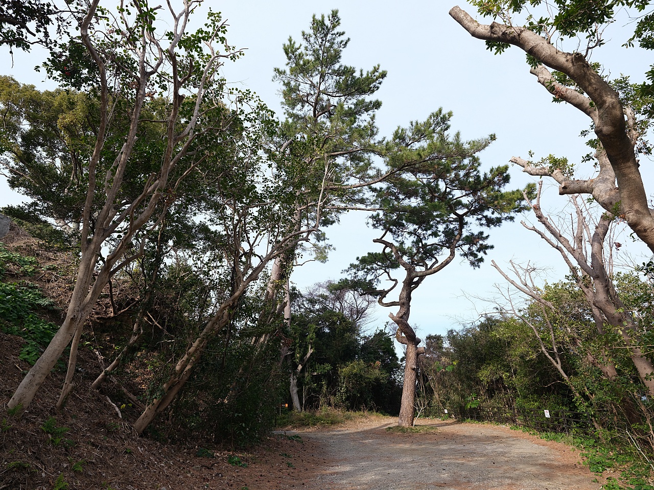 【高知桂浜公園】日本海濱百選、秘境龍王岬,景點指南&#038; 交通資訊 @捲捲頭 ♡ 品味生活