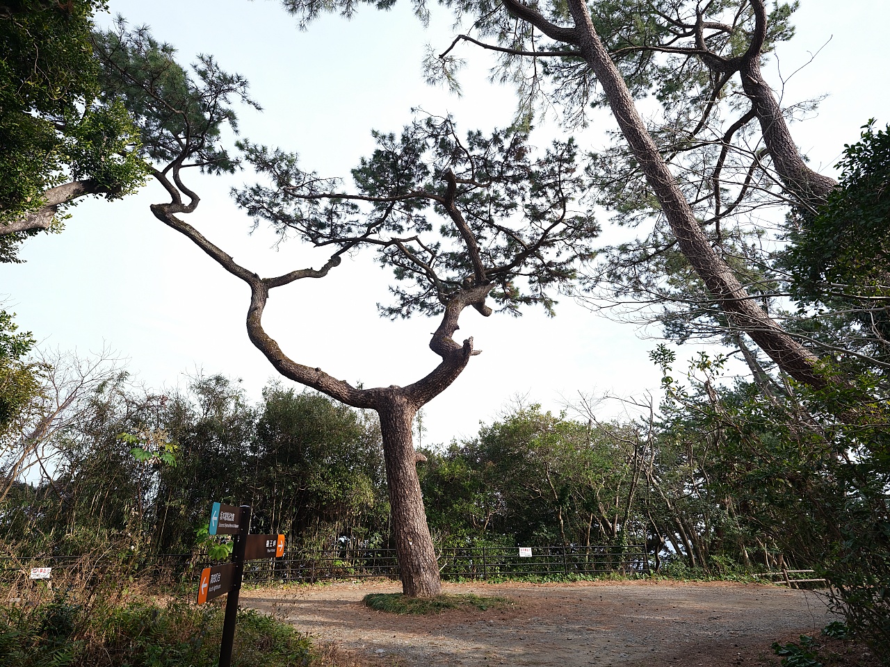 【高知桂浜公園】日本海濱百選、秘境龍王岬,景點指南&#038; 交通資訊 @捲捲頭 ♡ 品味生活