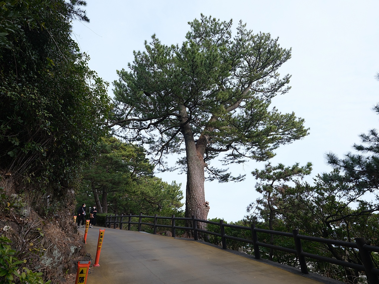 【高知桂浜公園】日本海濱百選、秘境龍王岬,景點指南&#038; 交通資訊 @捲捲頭 ♡ 品味生活