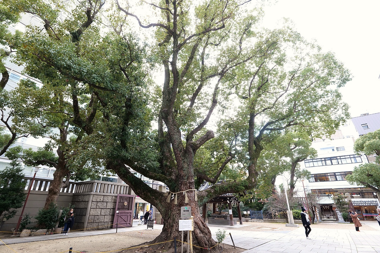 大阪【難波八阪神社】巨無霸獅子頭,可以吞厄運招好運~ @捲捲頭 ♡ 品味生活