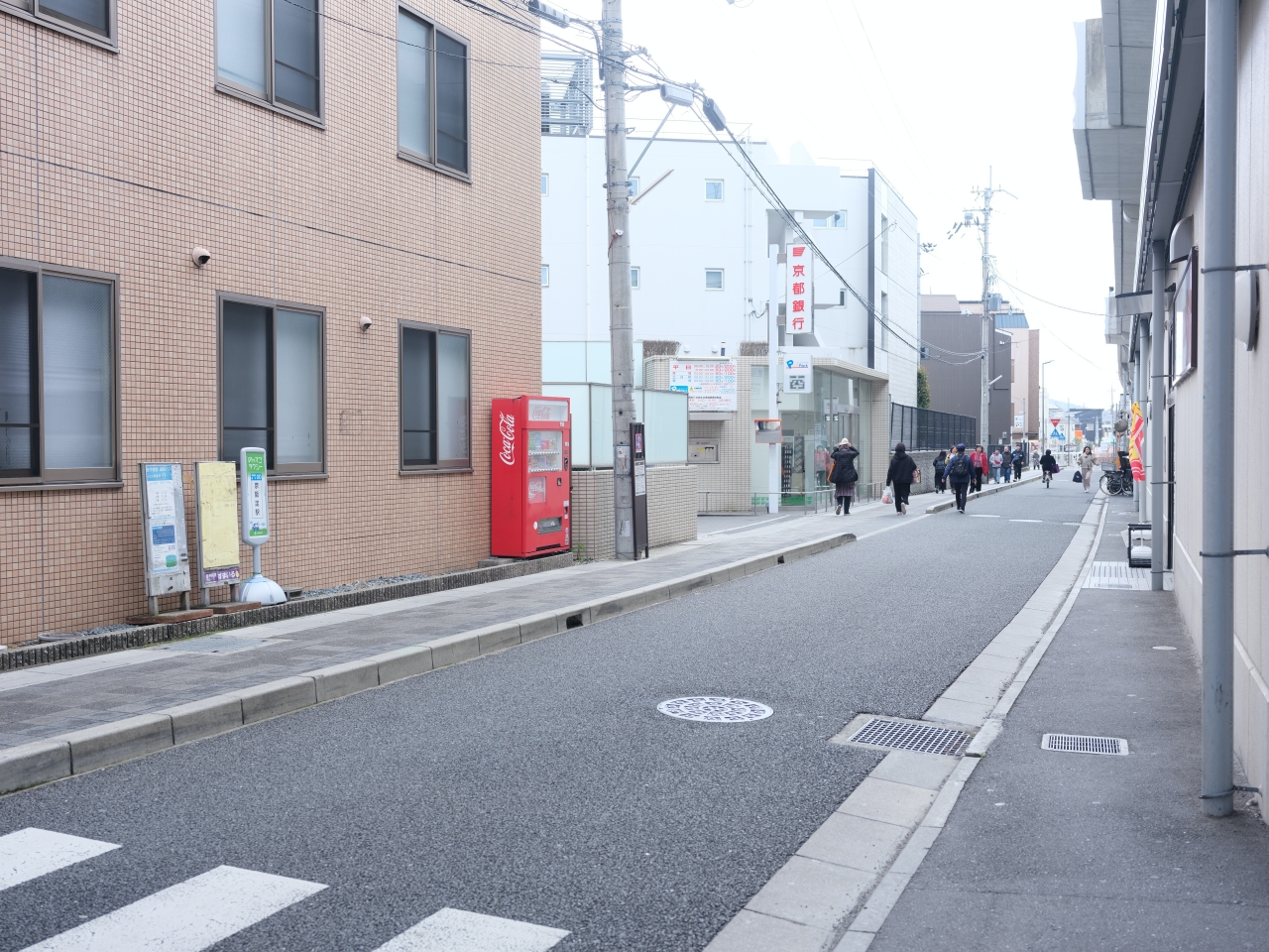 京都賞櫻【淀水路河津櫻】200棵河津櫻齊綻放，漫步粉色花海下 @捲捲頭 ♡ 品味生活