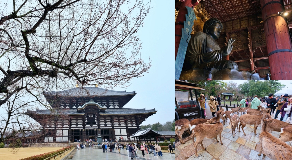 奈良景點【東大寺】必訪推薦、門票、交通景點體驗全攻略 @捲捲頭 ♡ 品味生活