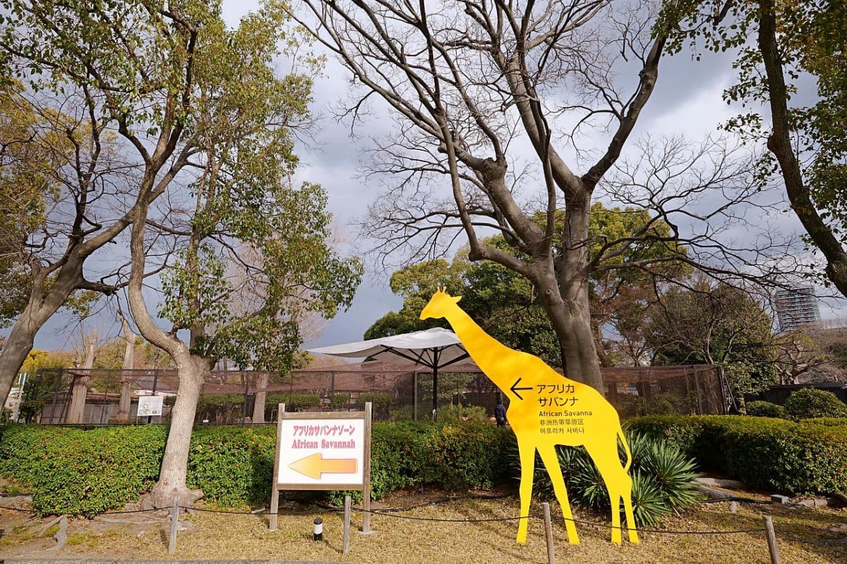 2024【天王寺動物園】好拍好玩戶外動物王國，門票、交通、環境全攻略 @捲捲頭 ♡ 品味生活