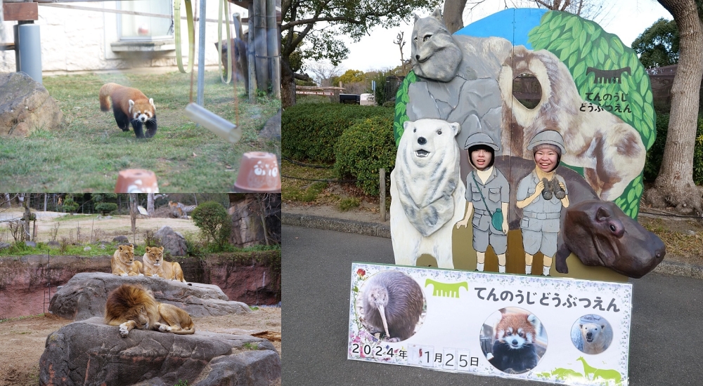 2025【天王寺動物園】好拍好玩戶外動物王國，門票、交通、環境全攻略 @捲捲頭 ♡ 品味生活