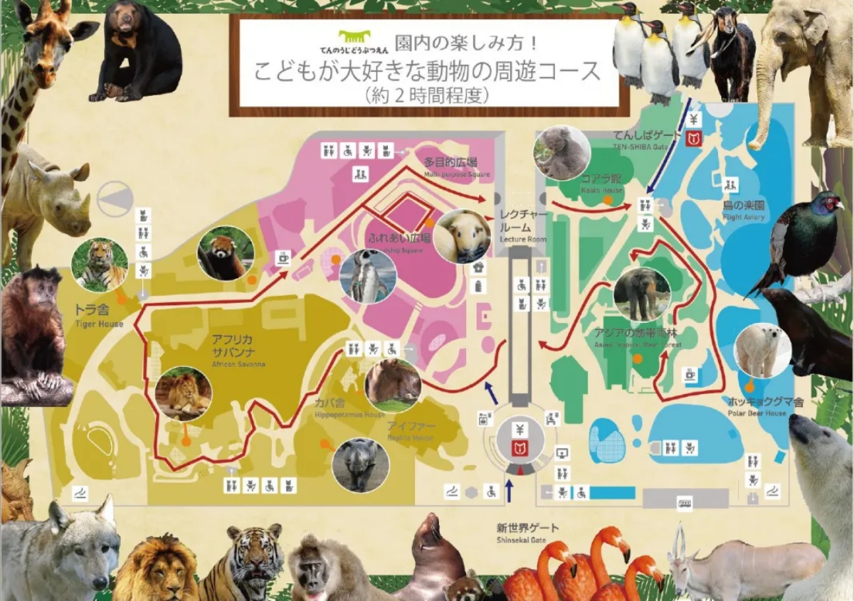 2024【天王寺動物園】好拍好玩戶外動物王國，門票、交通、環境全攻略 @捲捲頭 ♡ 品味生活