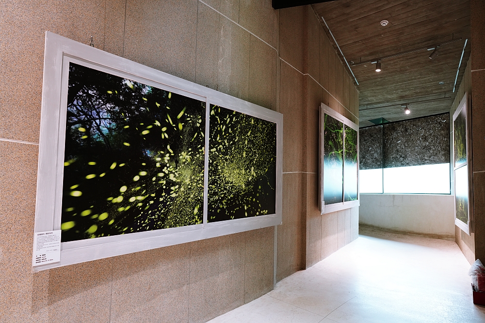 【壯圍沙丘生態園區】 免門票秘境，看海、拍大片、避暑全攻略 @捲捲頭 ♡ 品味生活