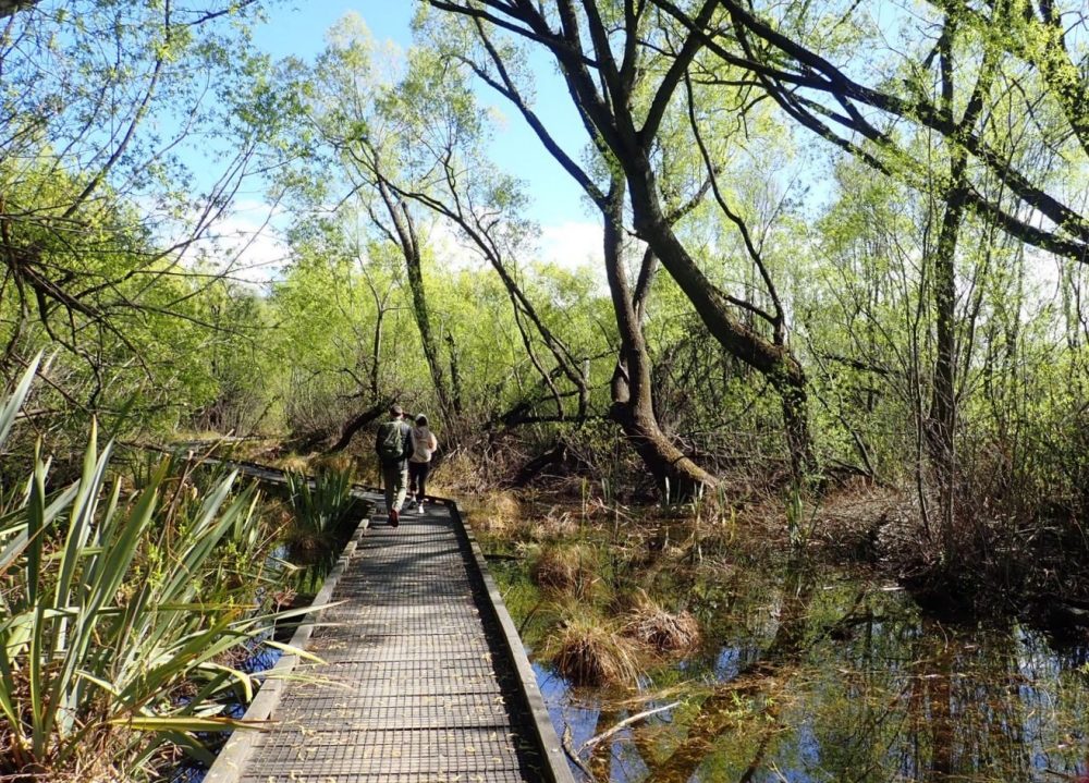 【Lake Hayes Walkway】劍鎮環湖步道推薦，停車、環境全攻略。 @捲捲頭 ♡ 品味生活