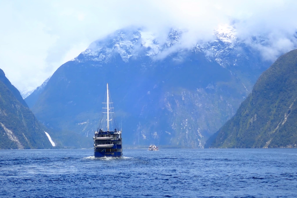 【Milford Sound米佛峽灣】紐西蘭必打卡項目：搭遊輪看世界遺產，也能看到海豚海豹全攻略（附交通停車） @捲捲頭 ♡ 品味生活