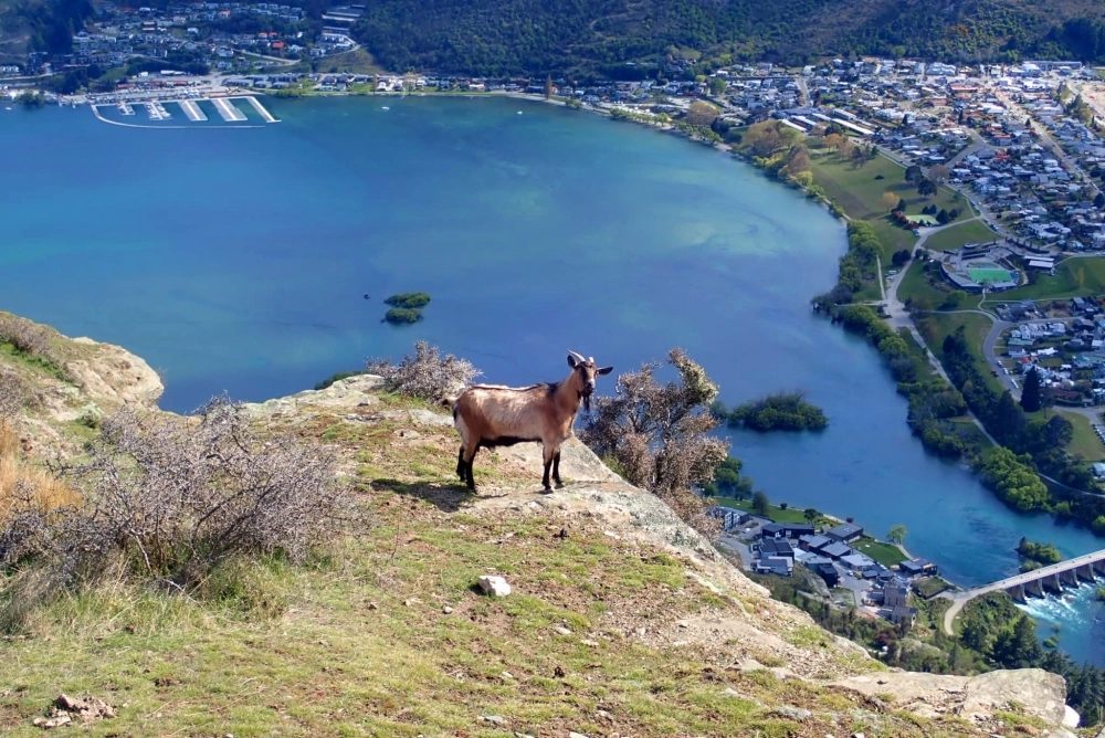 【南灣水上單車.大潭山滑草】來點少見的澳門親子行程，免費滑草還有便宜又好玩南灣踩天鵝船！ @捲捲頭 ♡ 品味生活