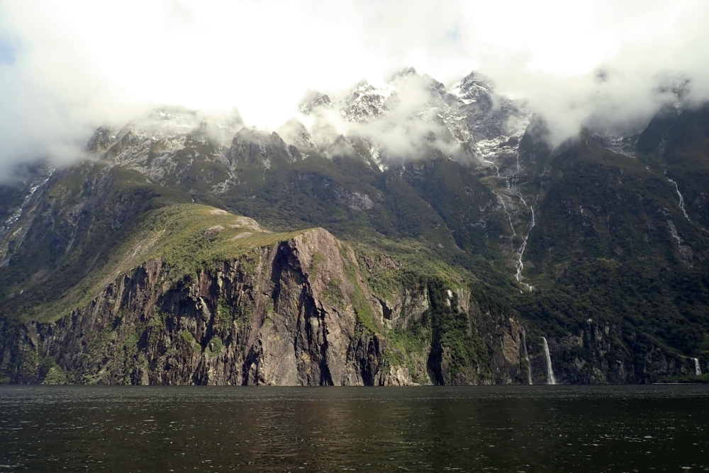 【Milford Sound米佛峽灣】紐西蘭必打卡項目：搭遊輪看世界遺產，也能看到海豚海豹全攻略（附交通停車） @捲捲頭 ♡ 品味生活