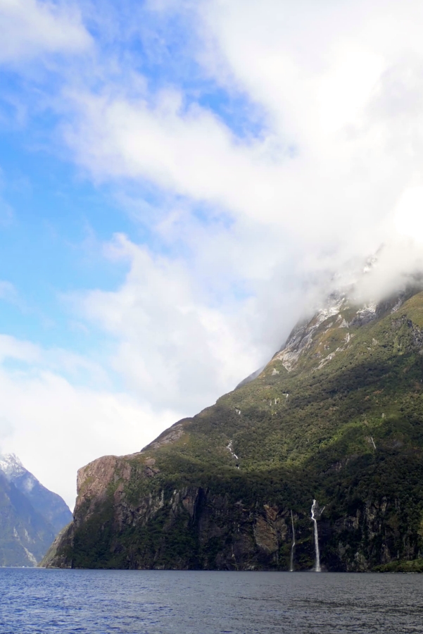 【Milford Sound米佛峽灣】紐西蘭必打卡項目：搭遊輪看世界遺產，也能看到海豚海豹全攻略（附交通停車） @捲捲頭 ♡ 品味生活