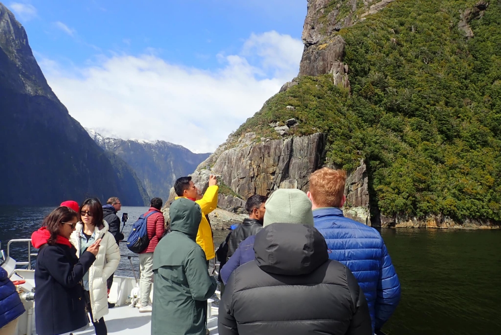 【Milford Sound米佛峽灣】紐西蘭必打卡項目：搭遊輪看世界遺產，也能看到海豚海豹全攻略（附交通停車） @捲捲頭 ♡ 品味生活