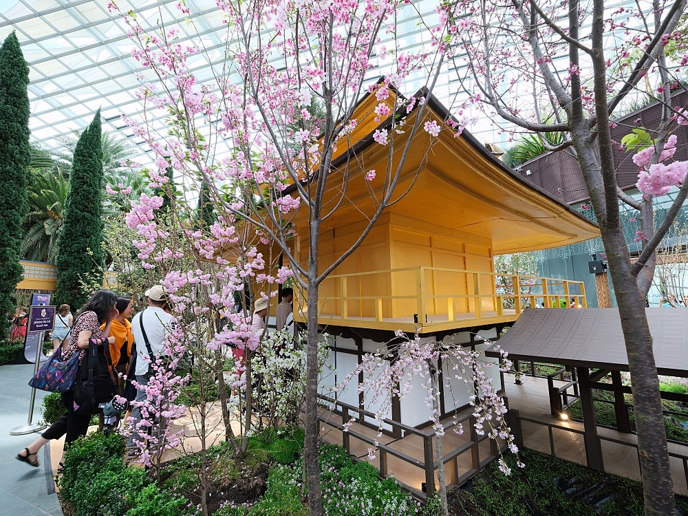 新加坡【濱海灣花園全攻略】門票這裡買不用排隊！ 雲霧林＆花穹介紹，順便教你怎麼去～ @捲捲頭 ♡ 品味生活