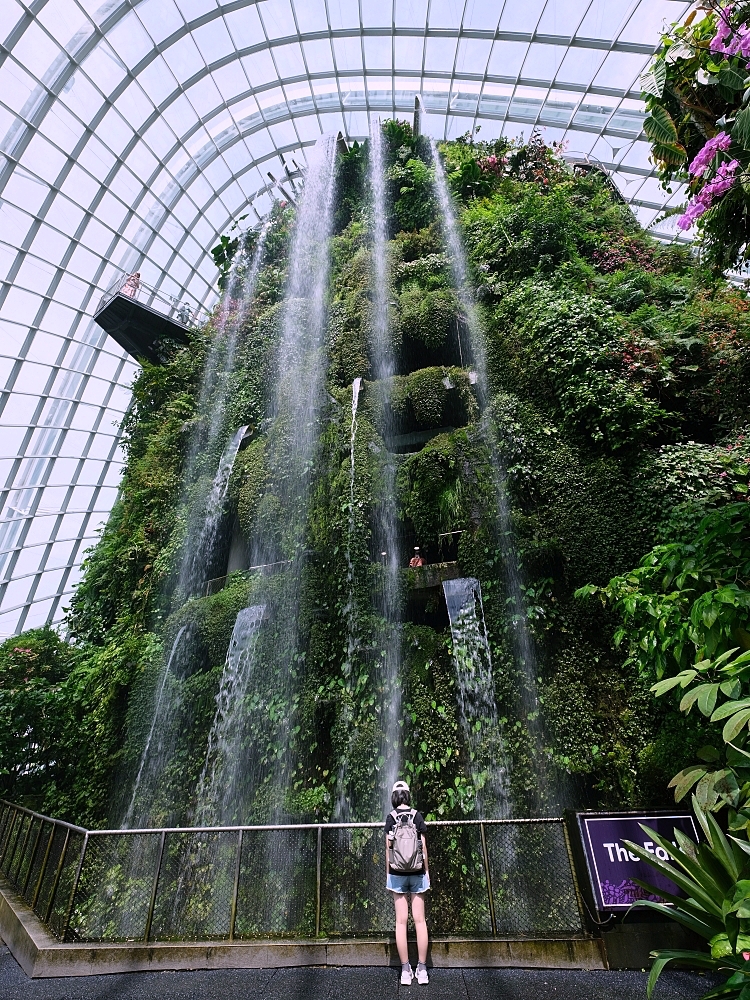 新加坡【濱海灣花園全攻略】門票這裡買不用排隊！ 雲霧林＆花穹介紹，順便教你怎麼去～ @捲捲頭 ♡ 品味生活