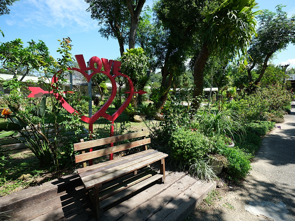 【雅聞香草植物工廠】苗栗免費景點，最新花況，玫瑰花廊浪漫風車隨你拍 @捲捲頭 ♡ 品味生活